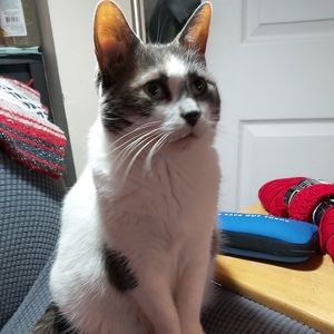 Meet your Posher, Theresa